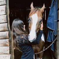 sosoh_1704