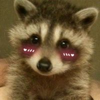 kkoowii_