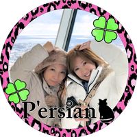 オリジナル楽曲 - 🐈‍⬛あっちゃん🐈‍⬛ペルシャ🐈‍⬛🍀