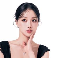 sae.rok