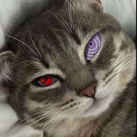 original sound - Official Nazuo