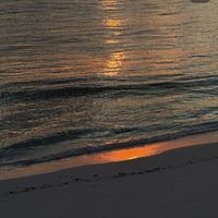 الصوت الأصلي