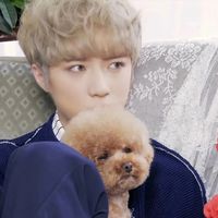 오리지널 사운드 - 𐑺 ࣪𓈒왕밤토리𓈒𓏸 𓂂𓈒 ♡ 𓂂 𓈒𓏸