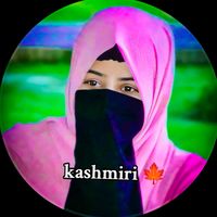 kashmirishahzada887