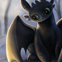 nature._dragons.cora