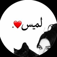 lamislamousa311