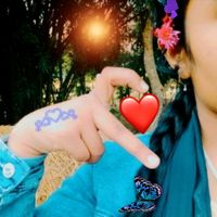 picchi1226