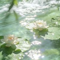 nhạc nền - Đoan Quìn học múa