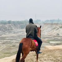 muhammad_hafi_awan