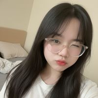 puni_241