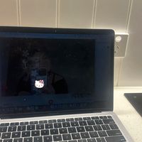 whining work mashup motu