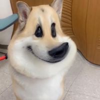 t_krn