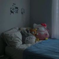 aymdzc_zz