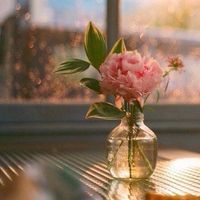 original sound - Mira 🌷