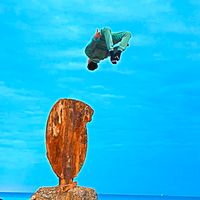 الصوت الأصلي