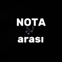 notaarasi
