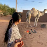 original sound - ._568397
