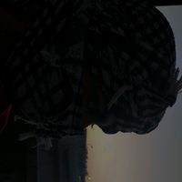 الصوت الأصلي