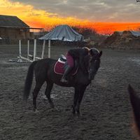 оригинальный звук