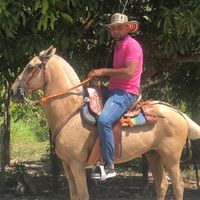 guillermo.jose.il