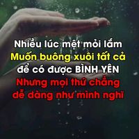 nhạc nền - all25012