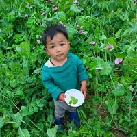 original sound - wangchuk021