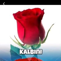 www.qelbimingozu