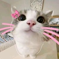 zainoii7