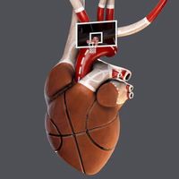 basketbolluci