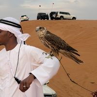 brahim_mamary