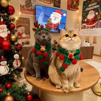buddybobameow