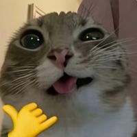 оригинальный звук