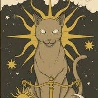 tarottfaliikahveefalii