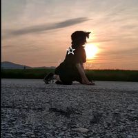 eyll.ada.takin
