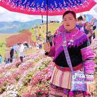 nhạc nền - Tráng Thị Dư