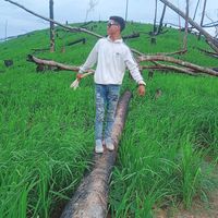 hongda224