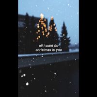 xmas.timee.x
