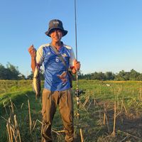 original sound - Phanha Fishing 🎣