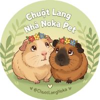 nhạc nền - Tinh Ăn Mù Làm🍃