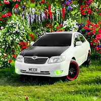 pukhtoon_18