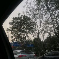 nhạc nền - bé phonee🐼