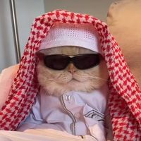 suara asli - GAYO MUSARA🚩