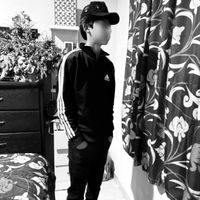 felixz.vp