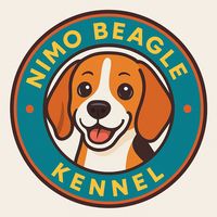 nimobeaglekennel