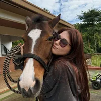 original sound - allforknp