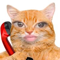 nylippp