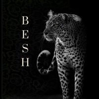 besh.026