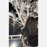 オリジナル楽曲 - 可乃音