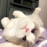 original sound - kimmybtw