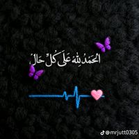 ali.bos132